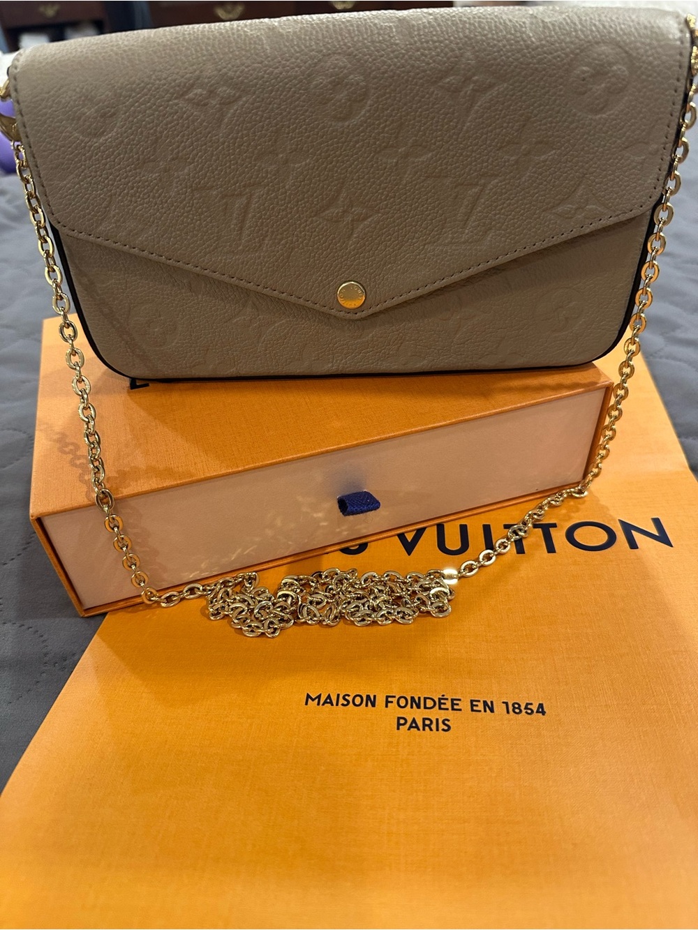 Louis Vuitton Pouchette Felicie in turtle dove leather handbag with Gold Chain